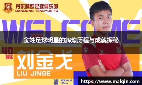 金姓足球明星的辉煌历程与成就探秘