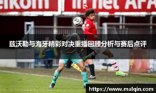 兹沃勒与海牙精彩对决重播回顾分析与赛后点评