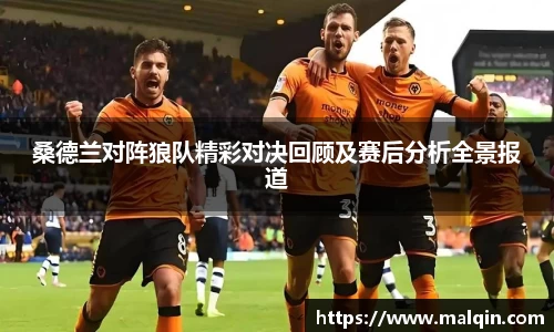 桑德兰对阵狼队精彩对决回顾及赛后分析全景报道